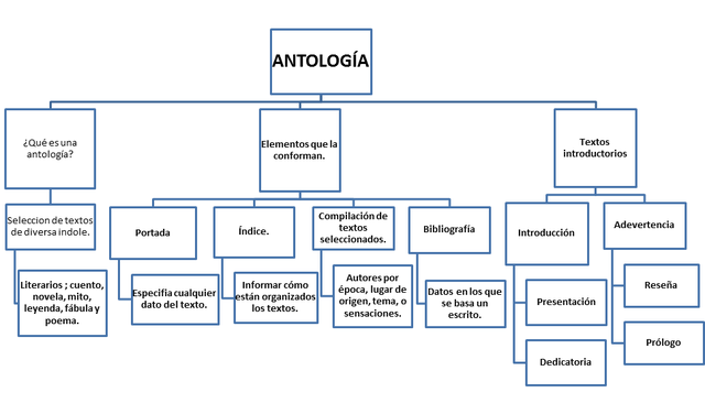 Tercer día de intervención