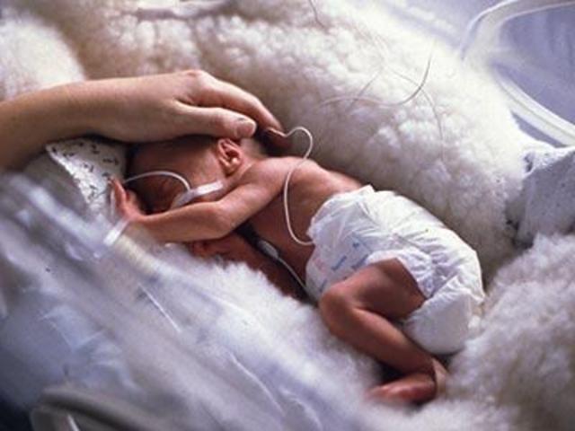 Nacimiento Alejandro (Hermano)