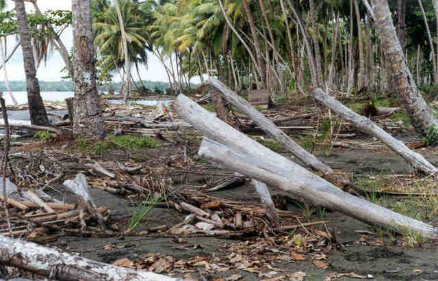 1998 Papua New Guinea Earthquake
