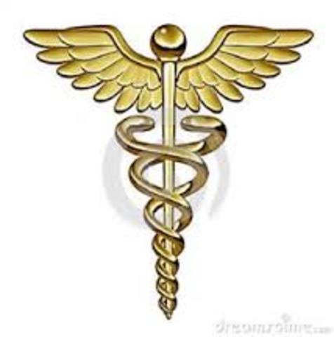 Criação dos Conselhos