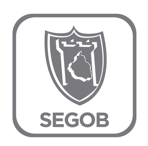 Creación del gobierno autonómo del Distrito Federal