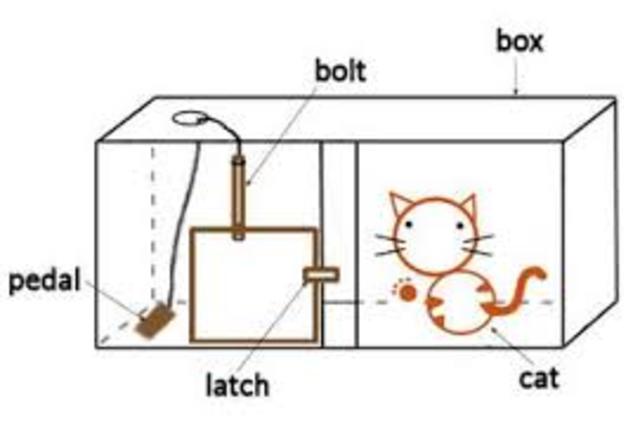 Law of Effect was described by Thorndike
