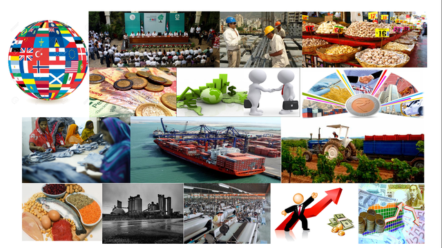 Transformación Estructural 1950 - 1974