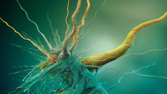 Teoría de la panspermia