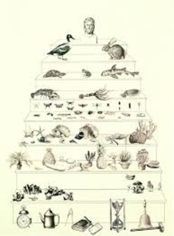 Aristotle describes like with the Scala Naturae