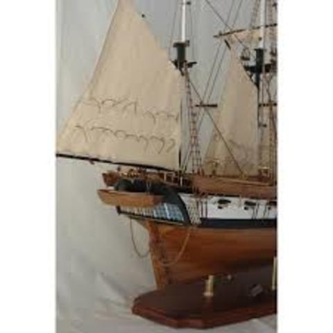 The Voyage of the HMS Beagle