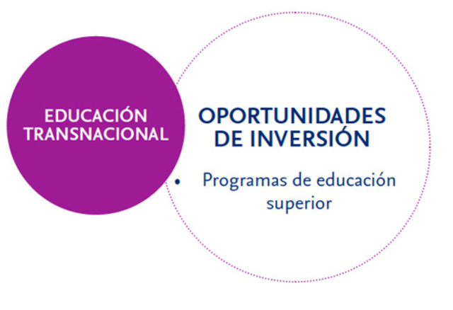 Educación transnacional e internacionalización