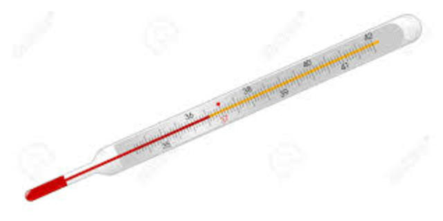 The Thermometer