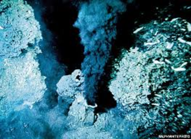 Deep Sea Hydrothermal Vents
