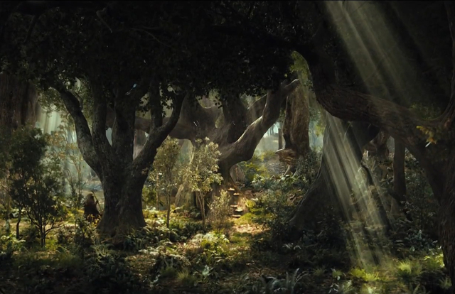Mirkwood Forest