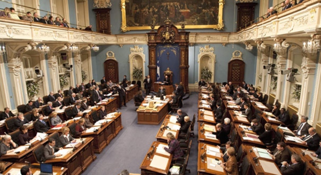 Faults in Representative Government