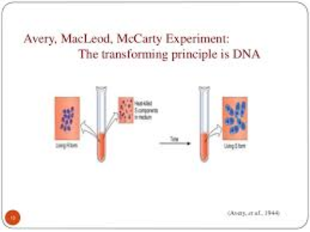 Avery, MacLoed and McCarty determine that DNA is the molecule that carries the genetic code
