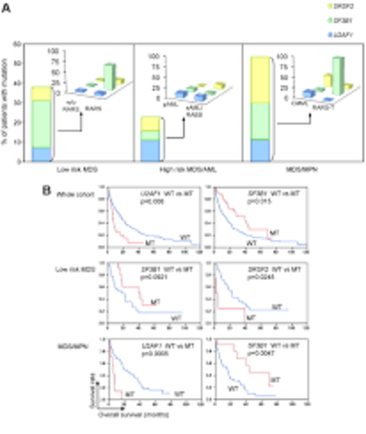 Spliceosomes were discovered and described