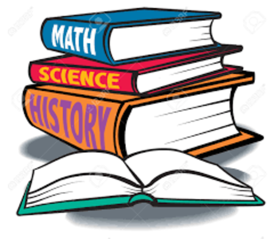 Louis Braille Career