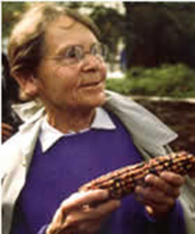 Barbara McClintock describes transposons