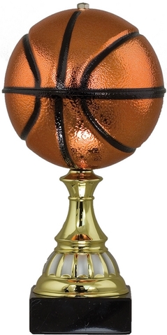 I Won Basketball Tournament