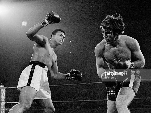 Ali returns to fighting