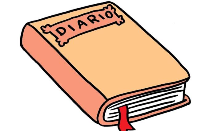 Mi primer diario
