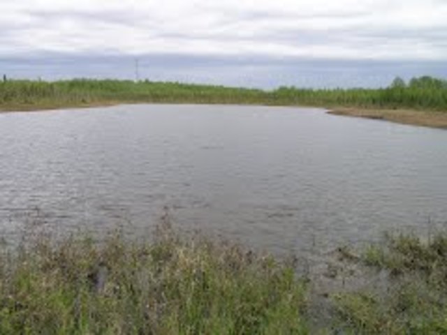 Swanson river oil field