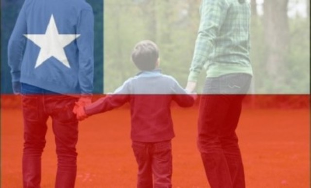 Primera modificación de la Ley N° 19.620: Dictación de la Ley N° 19.658