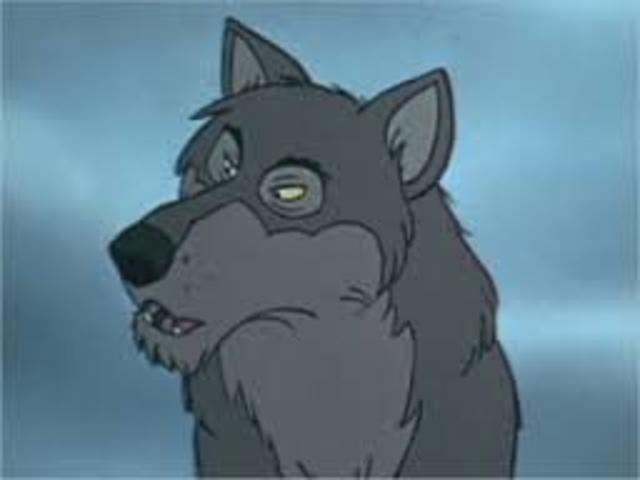 The wolves turn on Akela