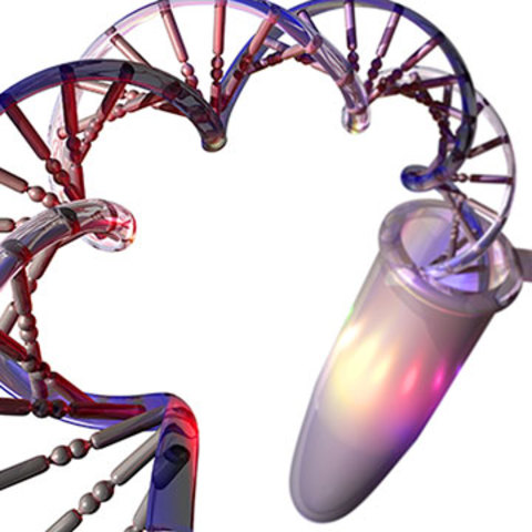Kary Mullis develops Polymerase Chain Reaction