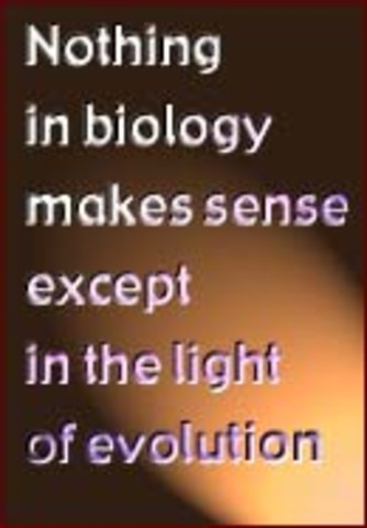 Nothing in Science Makes Sense Except in the Light of Evolution.