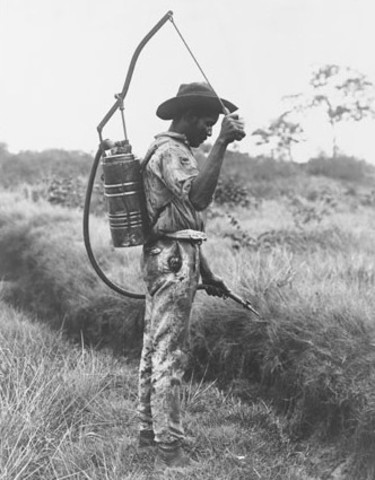 Digging Deep to Stop Disease