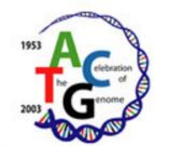 The Human Genome Project Completion