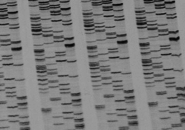 The Sanger Technique is developed