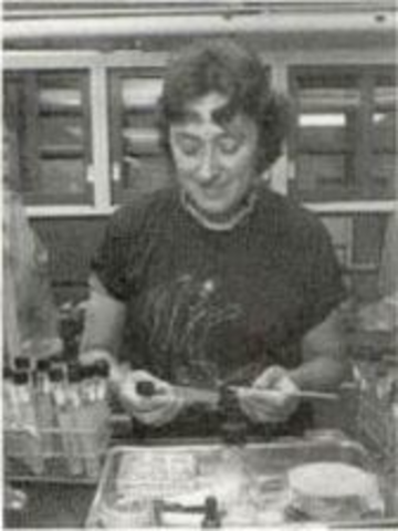 Endosymbiosis is described by Lynn Margulis