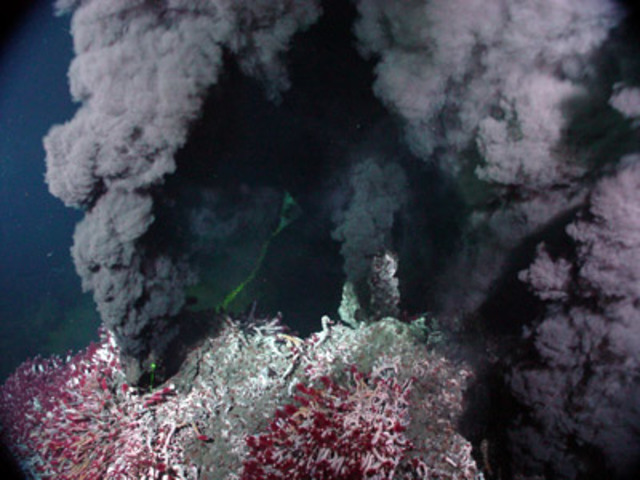 Deep sea hydrothermal vents and associated life around them are discovered