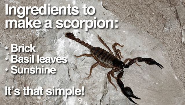 Louis Pasteur refutes spontaneous generation