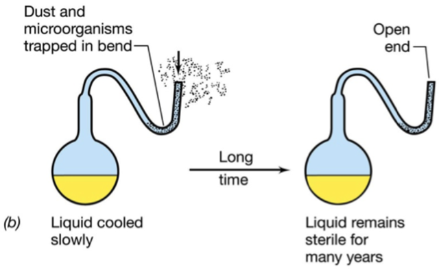 Spontaneous generation and Louis Pasteur