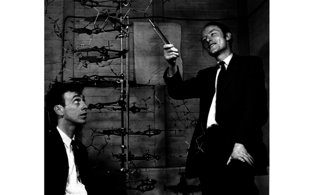 Watson and Crick propose the DNA structure: