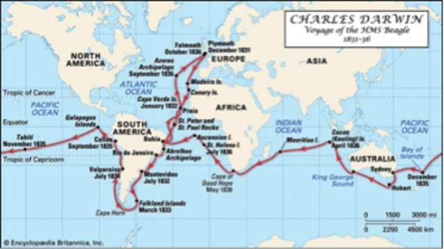 The Voyage of the HMS Beagle