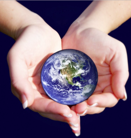 Power Relations Between Environmentalist Groups and the State