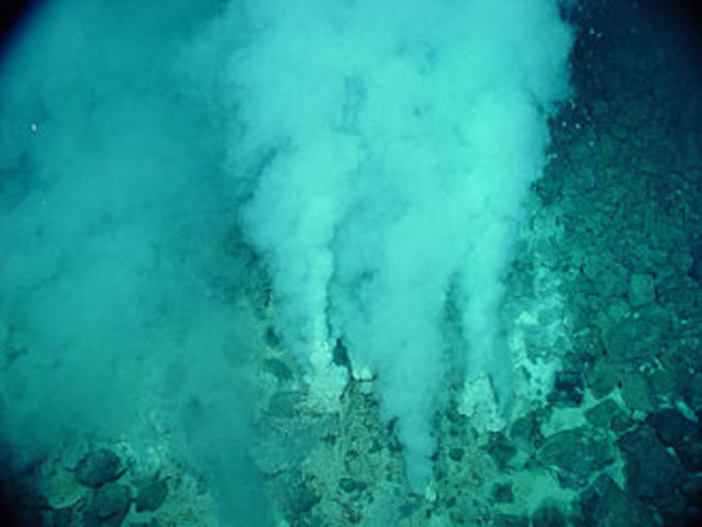 Hydrothermal vent and associated life around them are discovered