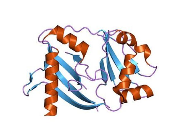 CRISPr/CAS 9 is identified and described