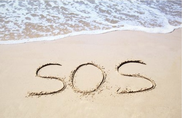 sos becomes international