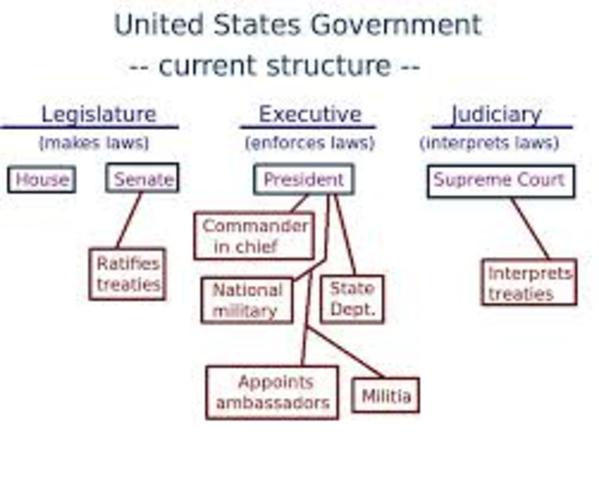 The branches of government
