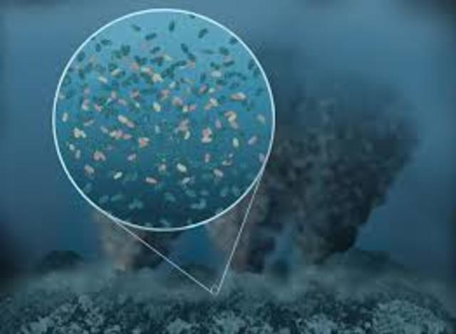 APARICIÓN DE LAS PRIMERAS FORMAS DE VIDA