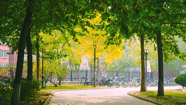 I left my junior school.