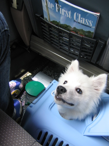 Seoul, travels to Greece from South Korea