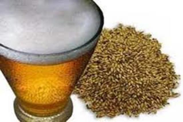 UTILIZACIÓN DE LEVADURA EN LA ELABORACIÓN DE CERVEZA