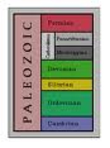 Paleozoic Era-old life