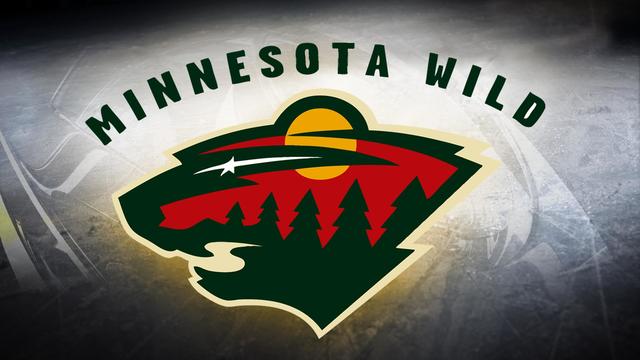 minnesota wild