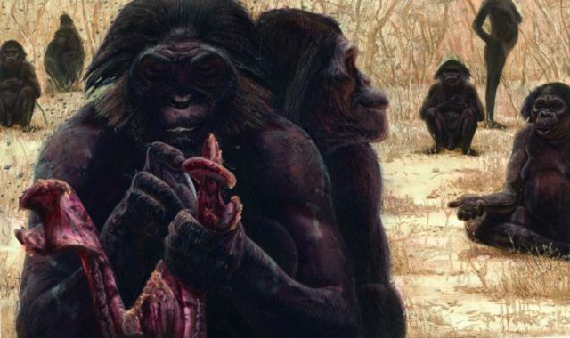 Australopithecus Garhi