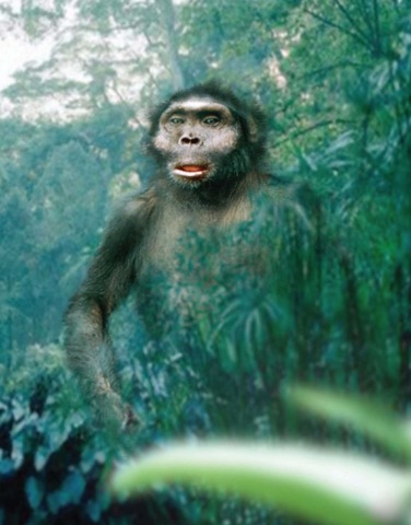 Paranthropus Aethiopicus