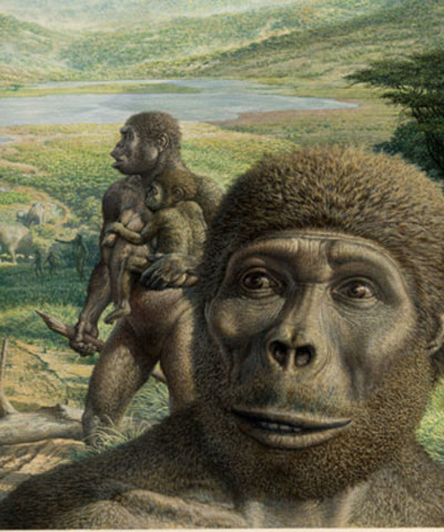 Australopitecus Africanus